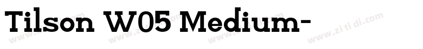 Tilson W05 Medium字体转换 Tilson W05 Medium字体转换